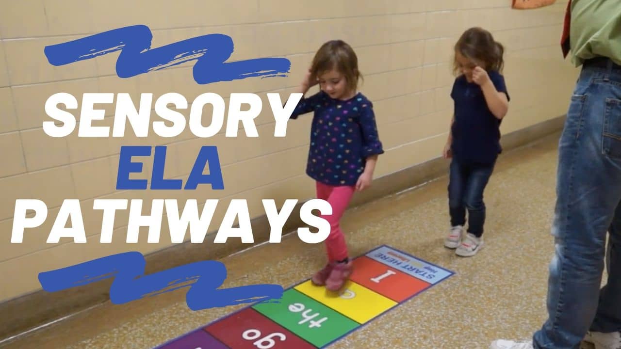 Sensory ELA pathway