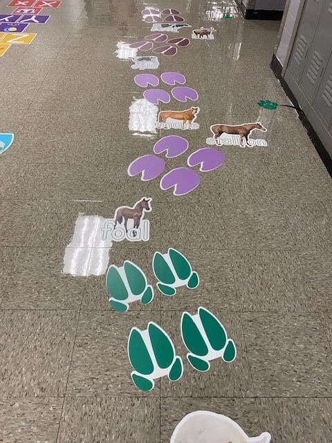 Farm Animal Sticker for on school floor