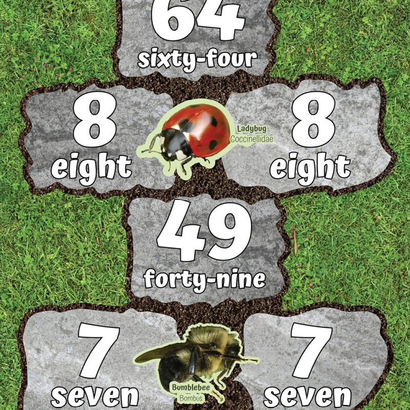 garden multiplication hopscotch floor mat product image