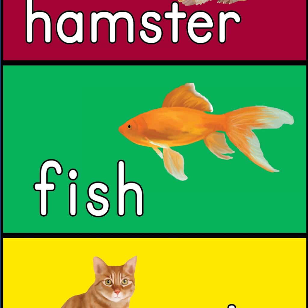 my pet hop mat - kindergarten
