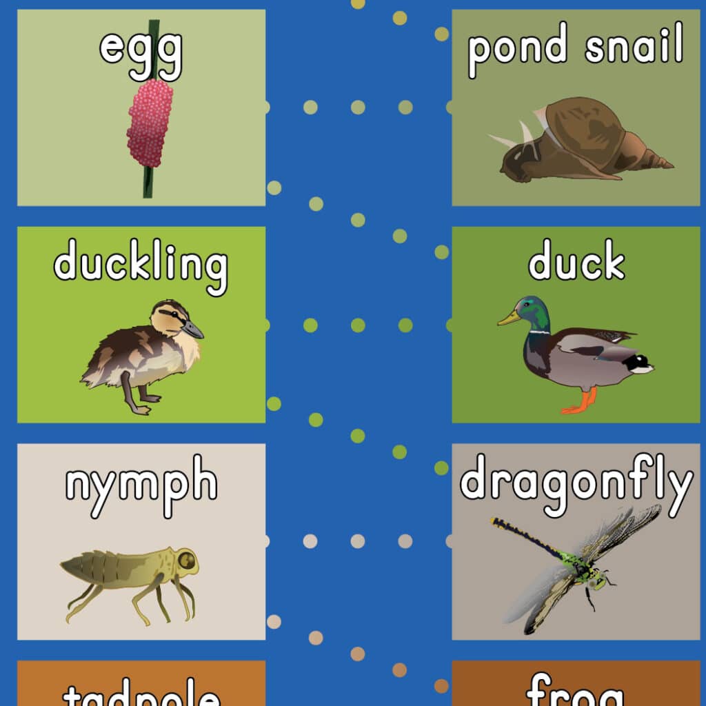 pond animals hop mat
