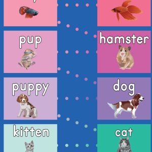 Different types of pets and their baby names hop mat