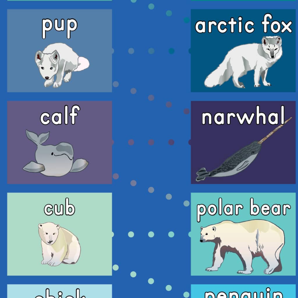 baby arctic animal hop mat