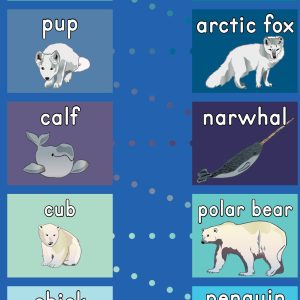 baby arctic animal hop mat