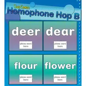 homophones activities