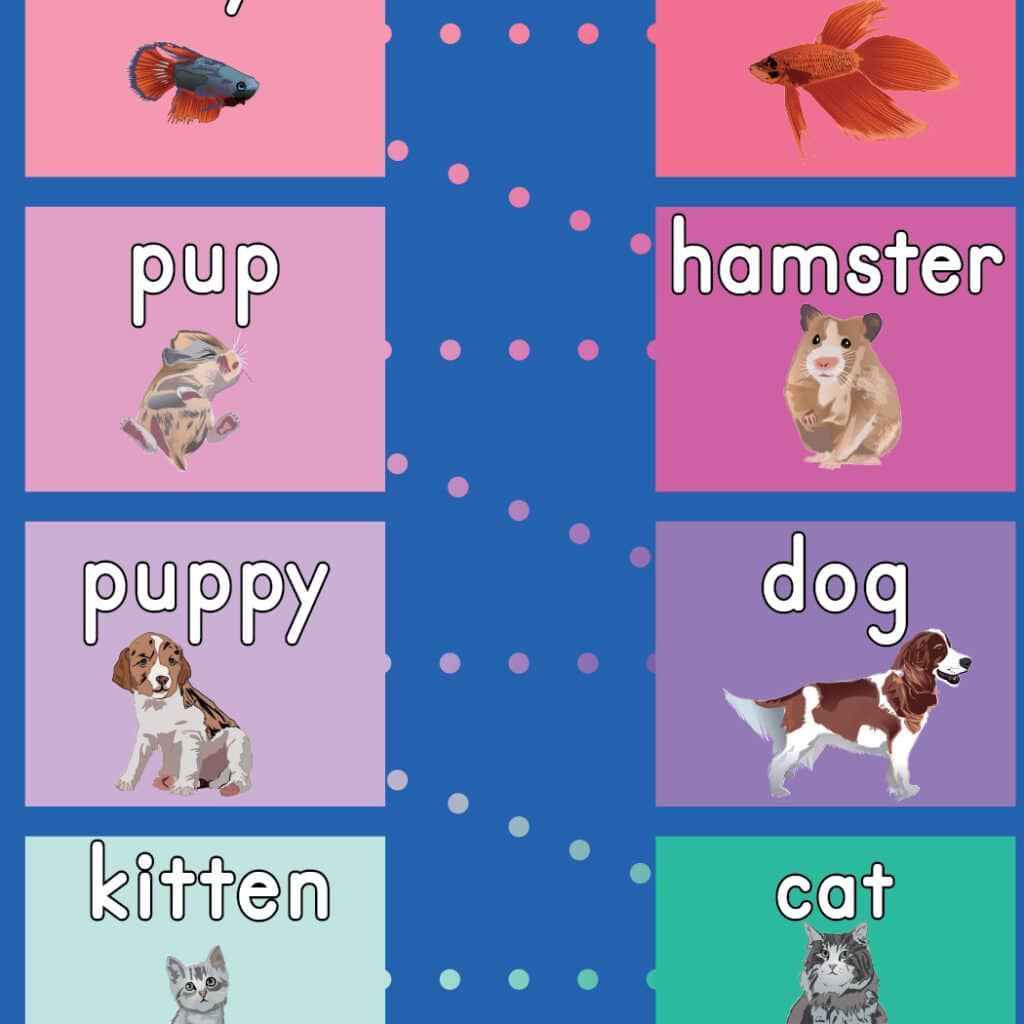 Different types of pets and their baby names hop mat