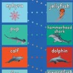 Baby Marine Life Hop