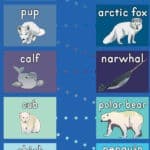 baby arctic animal hop mat