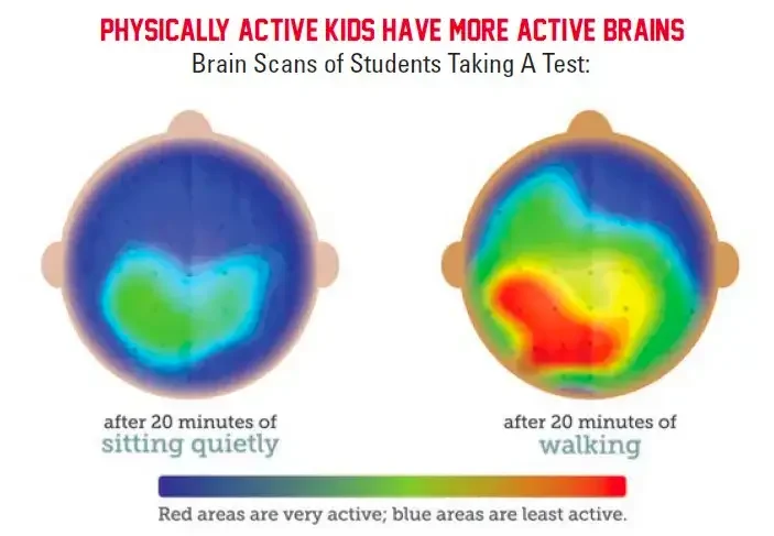 active brain scan kinesthetic learner