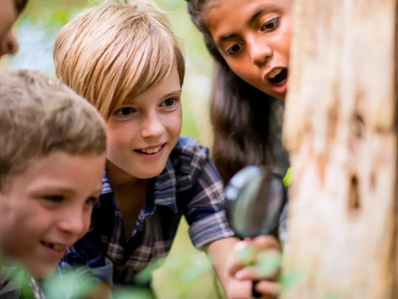 summer math camp ideas