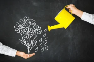 school growth plan