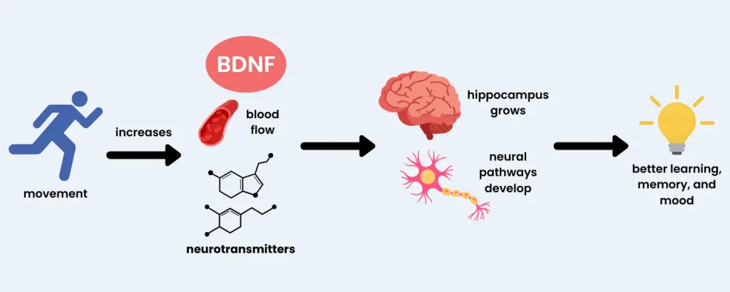 child brain development