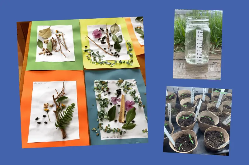 afterschool programs