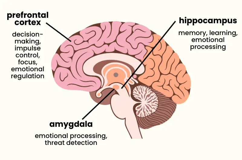 how trauma affects learning