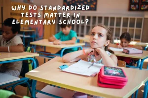 standardized testing in elementary schools