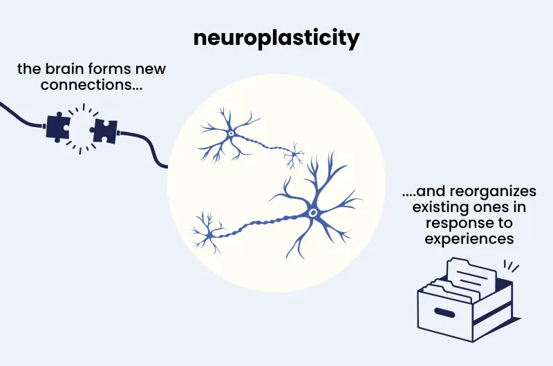 cognitive benefits of physical activity