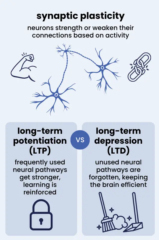 movement for learning